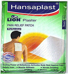 lion-plaster-1